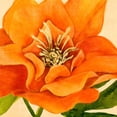 thumbnail image 2 of Warren, Annie 26x26 White Modern Wood Framed Museum Art Print Titled - Copper Petals II, 2 of 4
