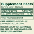 thumbnail image 2 of Spring Valley GABA Dietary Supplement Vegetarian Capsules for Mood Health, 750 mg, 100 Count, 2 of 10