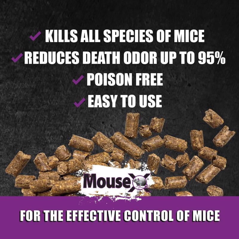 MouseX Mouse Killer Pellets, 1 lb, Non Toxic Formula Safe for People, Pets and Wildlife