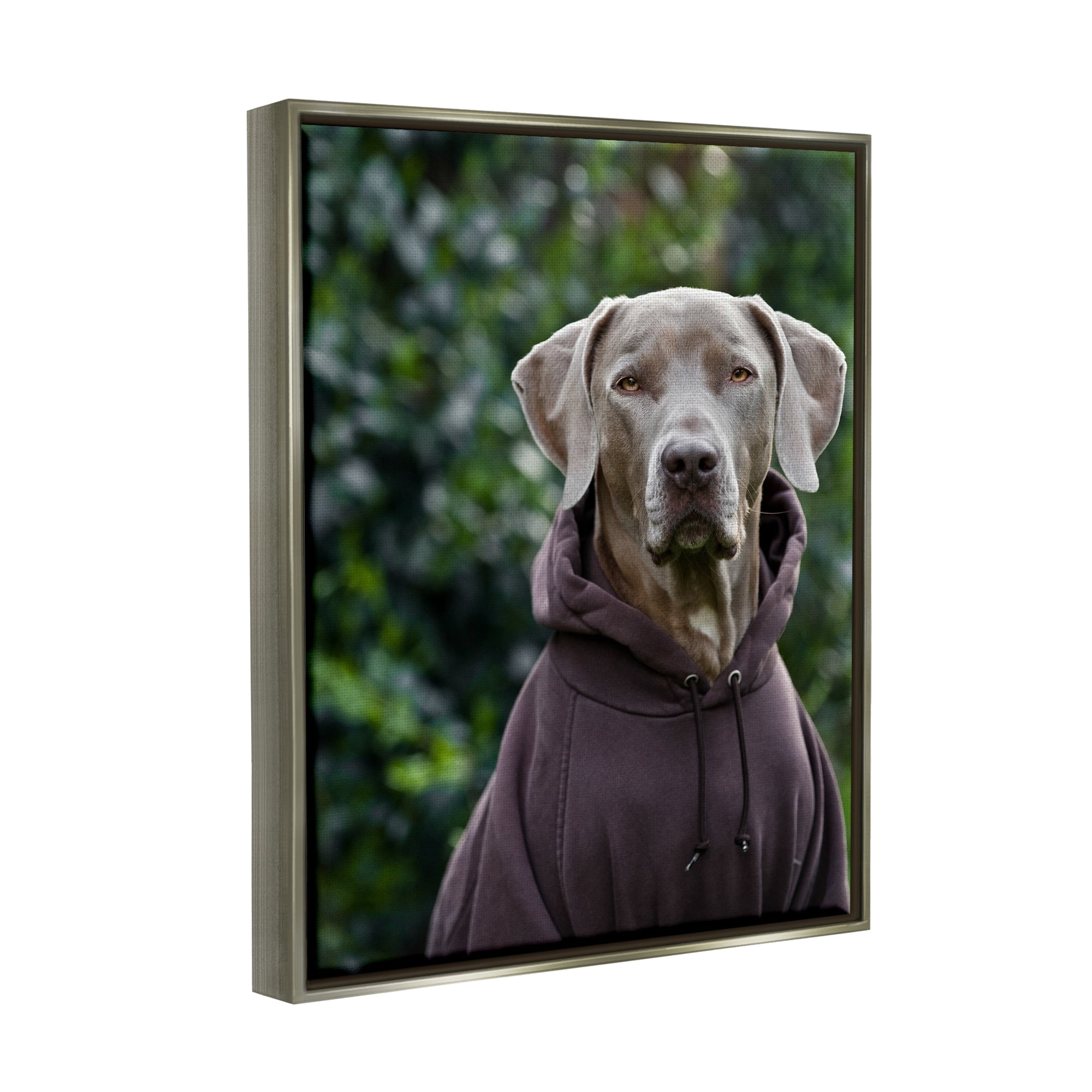 Stupell Industries Labrador Dog Wearing Sweatshirt Hoodie Detailed Photography Photograph Luster Gray Floating Framed Canvas Print Wall Art, Design by Michael Brian