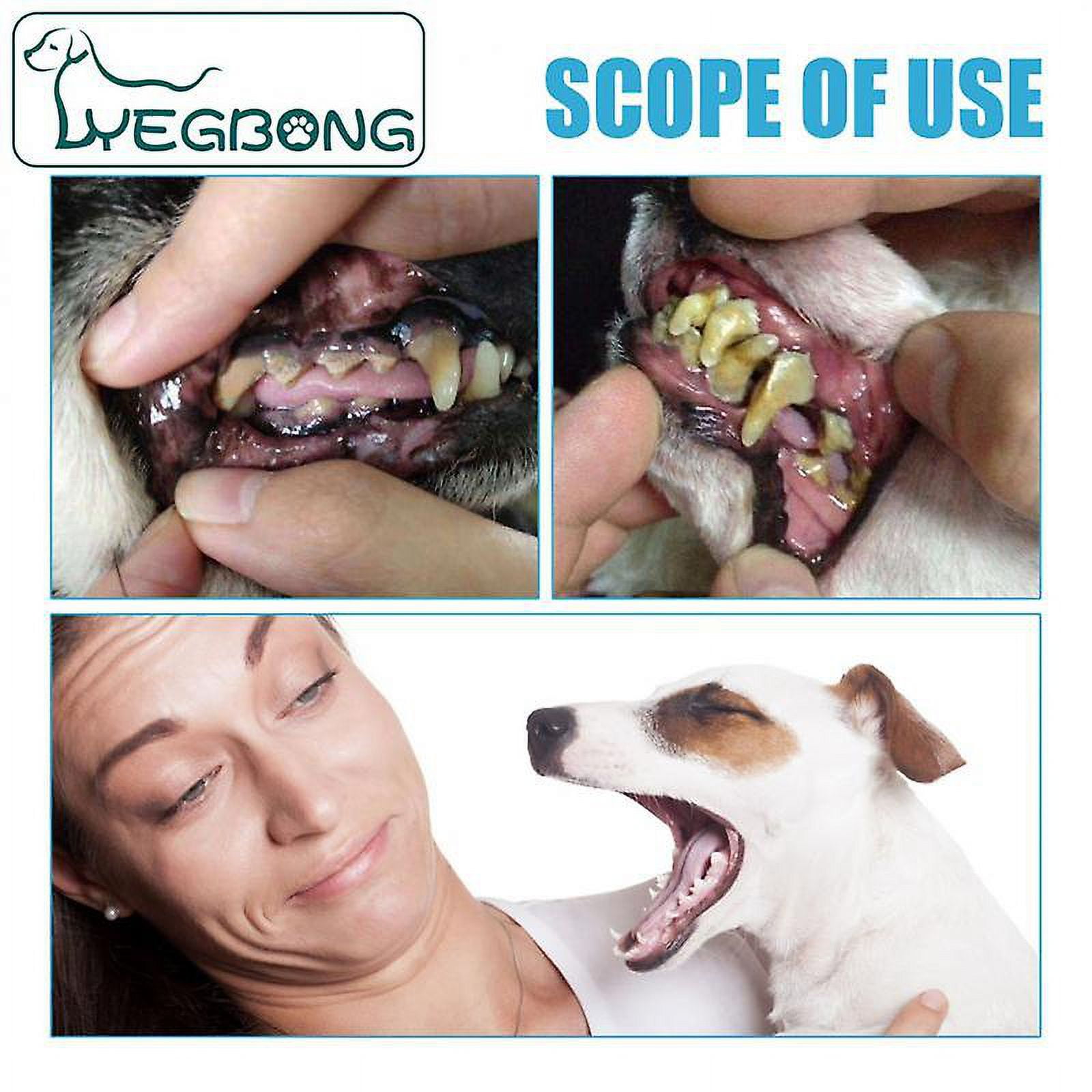 60g Pet Enzymatic Toothpaste For Dogs Helps Reduce Tartar And Plaque Helps Reduce Tartar And Plaque Buildup Walmart