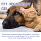 thumbnail image 5 of Gel desodorizante para mascotas, elimina olores y purifica el hogar, 200 g., 5 of 9