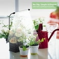 thumbnail image 6 of Grow Light for Indoor Plants Growing, 6000K Full Spectrum Gooseneck Plant Lamp for Seedings Succulents Small Plants, Auto On/Off Timing & 5 Dimming, 1-Pack, 6 of 6