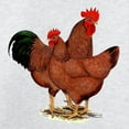 thumbnail image 3 of CafePress - Production Red Chickens Sweatshirt - Crew Neck Sweatshirt, 3 of 4