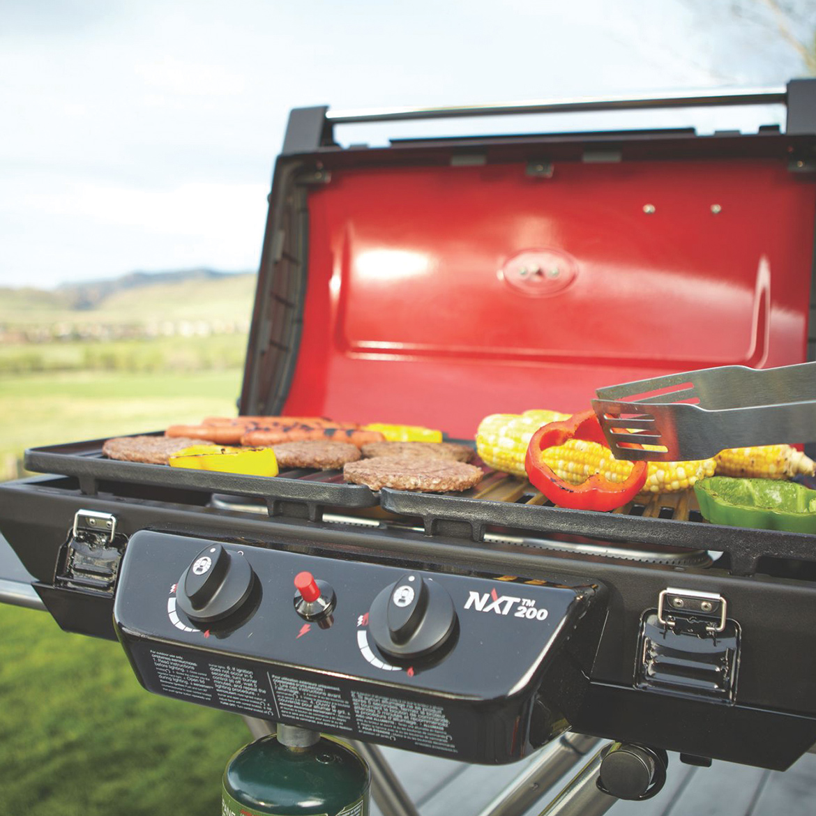Coleman Portable Grill Recipes Dandk Organizer