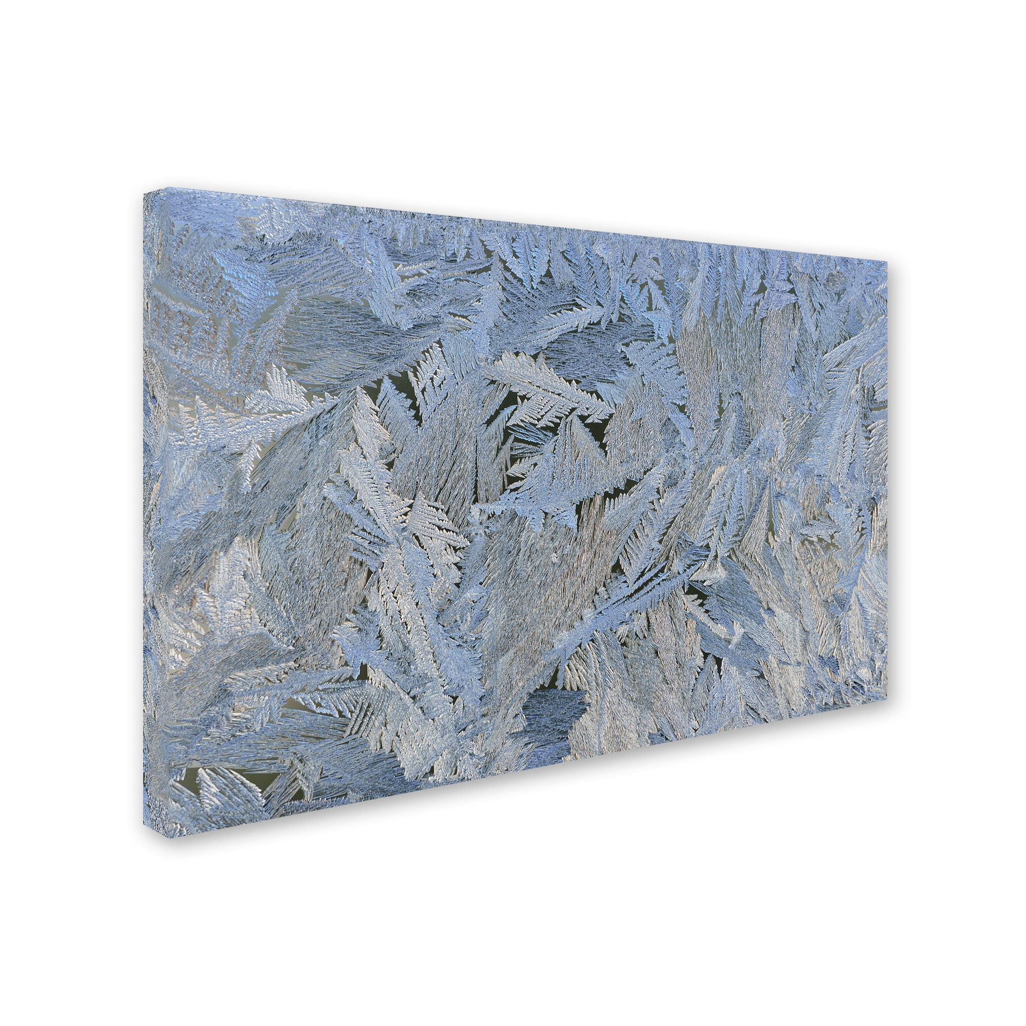 Trademark Fine Art "Frost Pattern #6" Canvas Art by Kurt Shaffer