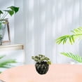 thumbnail image 5 of Artificial flowers, artificial succulents, potted plants, home decorations, artificial green plants - type:style2, 5 of 5