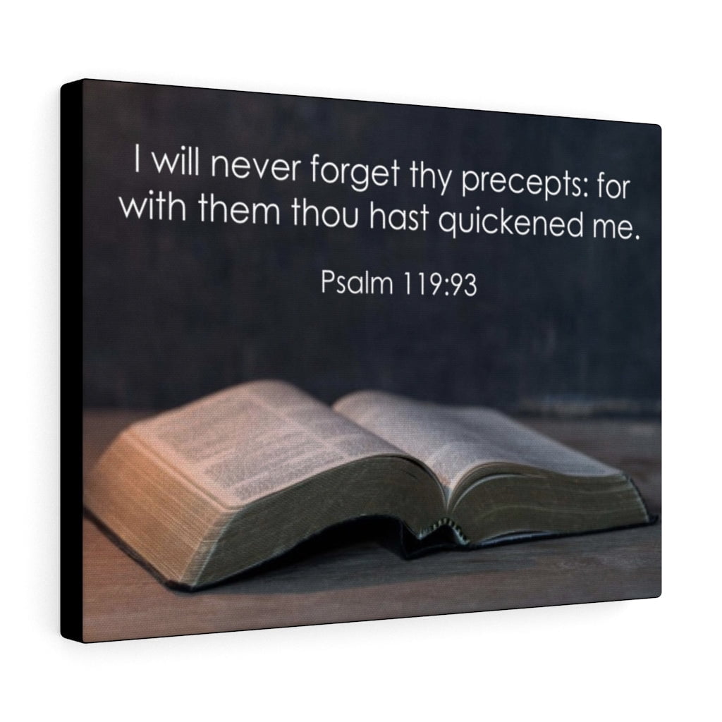 Scripture Walls Never Forget Thy Precepts Psalm 119 93 Bible Verse scripture-walls-never-forget-thy-precepts-psalm-119-93-bible-verse