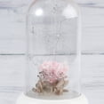 thumbnail image 3 of unbranded Difusor De Aroma USB Con Luz LED Multicolor Y Humidificador Para Y Oficina, 3 of 8