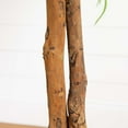 thumbnail image 6 of Nearly Natural Artificial Potted Willow Tree - 6' - Green, 6 of 7