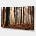 thumbnail image 2 of Bois Épais Foncés dans la Forêt d'Automne - Art Moderne sur Toile, 2 of 3