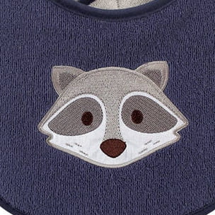 Raccoon