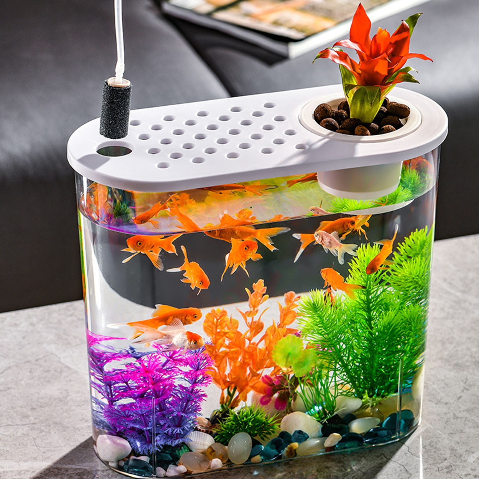 Desktop Aquarium Fish Bowl Multiuse Aquatic Pet Case Terrarium Fish Tank Box for Office Living Room Home Lizards Hermit Crabs, White Lid,fish tank aquarium,salt water fish tank aquarium kit
