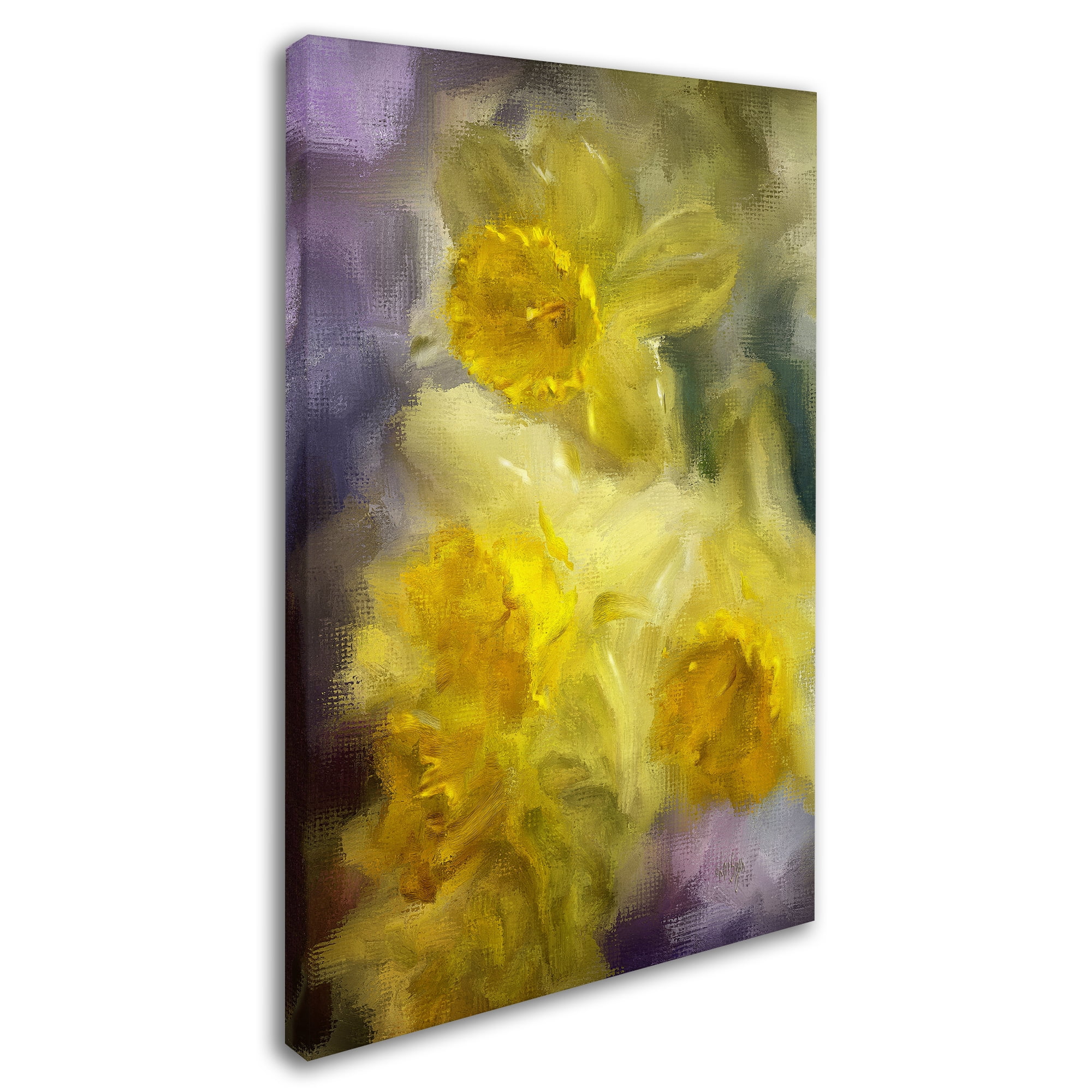 Trademark Fine Art "Ruffled Daffodils" Canvas Art by Lois Bryan