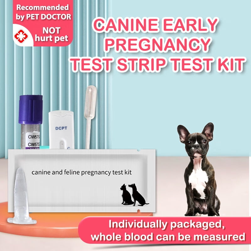 Ostrifin 1 Pcs Dog Pregnancy Test Strip Dog Pregnancy Test Card Canine