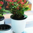 thumbnail image 1 of pitrice Flower Pot Self Watering Automatic Absorption Container Plastic Plant Planter Garden Home Decor, 180, 1 of 8