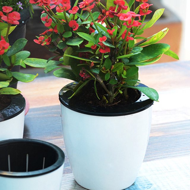 pitrice Flower Pot Self Watering Automatic Absorption Container Plastic Plant Planter Garden Home Decor, 180
