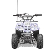 Vitacci Hawk 110cc Fully Automatic Mini ATV