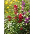 thumbnail image 2 of Gardenera Labs Premium Balsam Camellia Potting Soil Mix - Perfect Balance of Nutrients, Drainage, and Aeration for Thriving Blooms - 4 Quart, 2 of 2