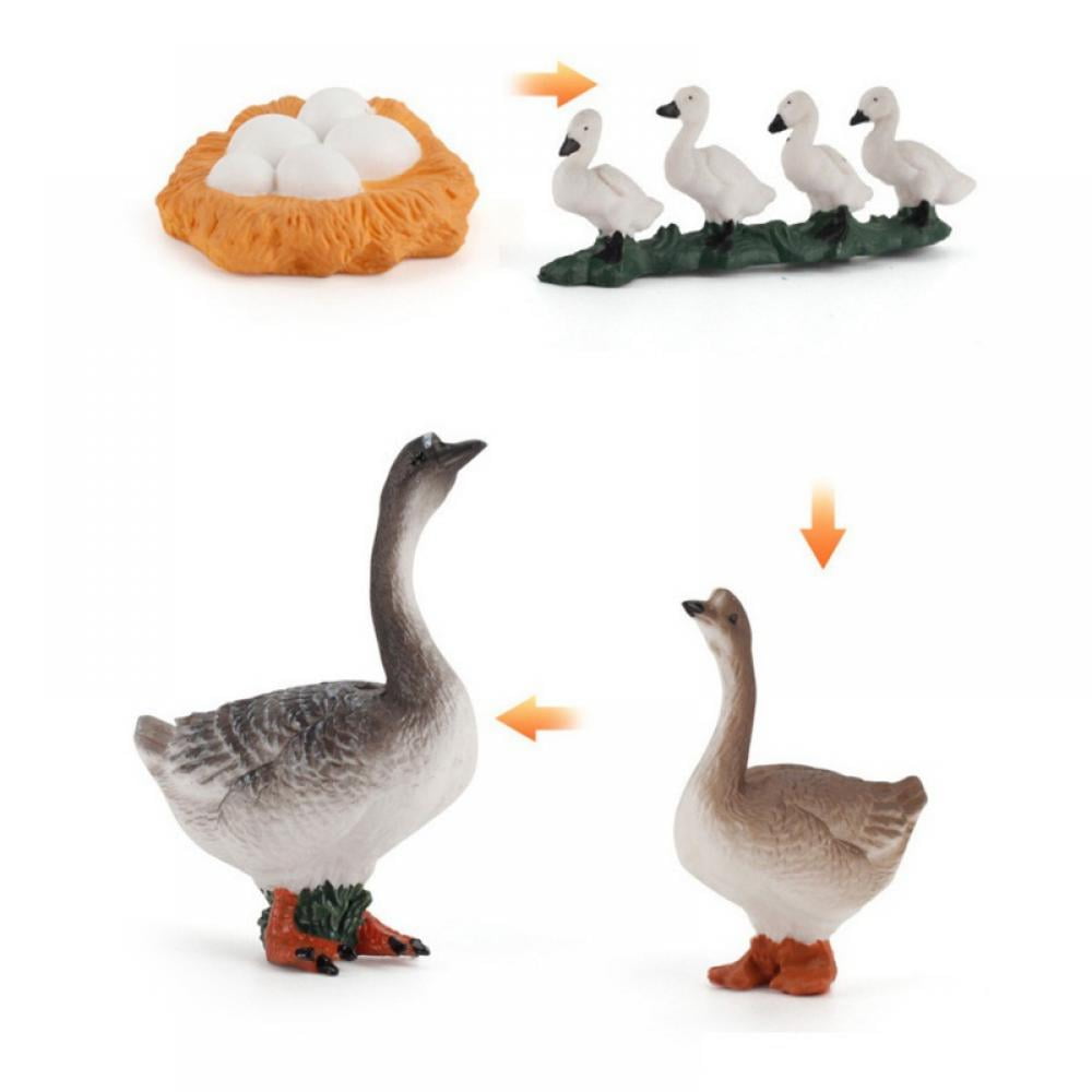 4PCS Farm Animals Figurines Life Cycle Of Chicken Hen Duck Goose White 4PCS Farm Animals Figurines Life Cycle Of Chicken Hen Duck Goose White