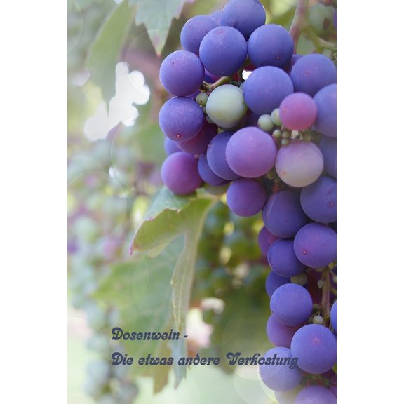 Dosenwein - Die etwas andere Verkostung : Ein Weinbuch zum Selberschreiben (Paperback)