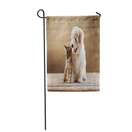 LADDKE Best Friends Kitten and Small Fluffy Dog Looking Sideways Garden Flag Decorative Flag House Banner 28x40 (The Best Looking Houses)