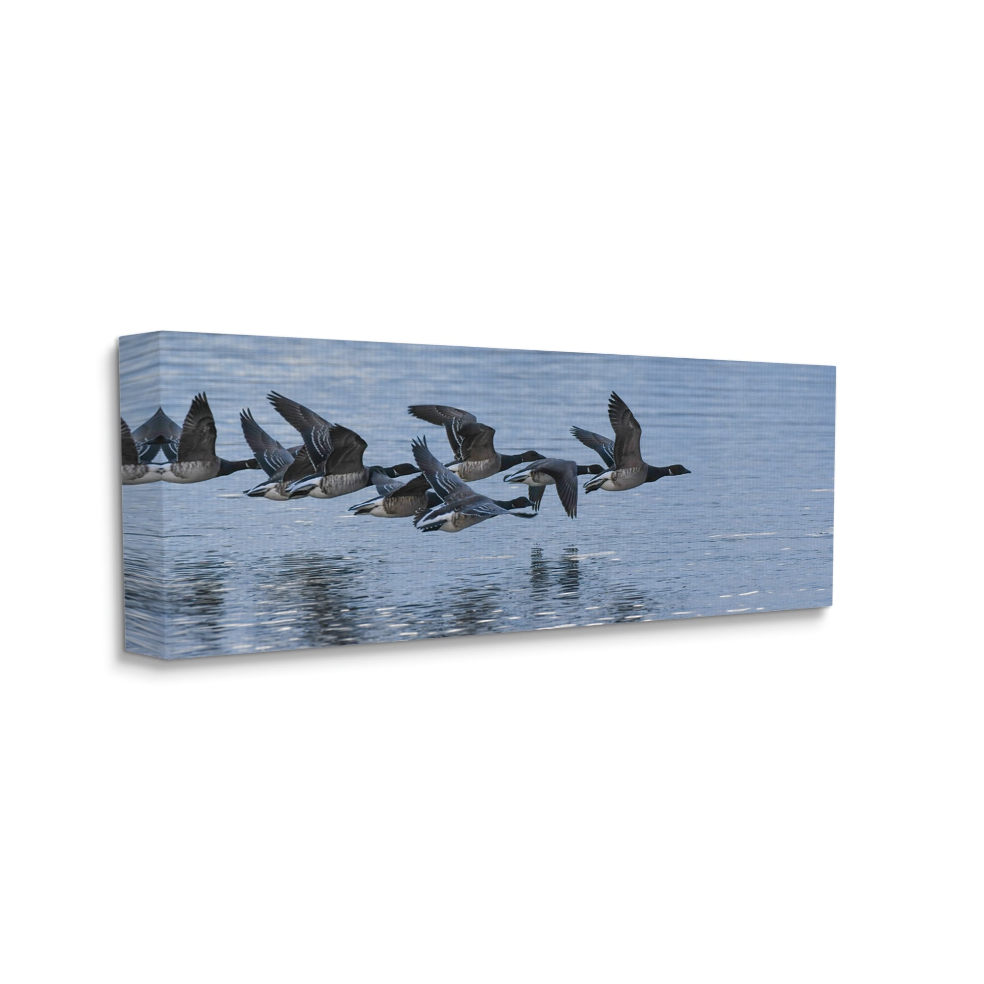 Stupell Industries Flying Geese Wings Flapping Calm Ocean Water Canvas Wall Art, 30 x 13, Design by Nancy Crowell