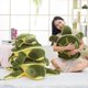 thumbnail image 5 of Turtle Stuffed Animal Plush Pillow, Turtle Plush Doll Gift For Kids, Girls, 5 of 5
