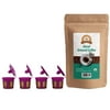 Alex's Acid-Free Organic Coffee - Fresh Ground Decaf (12oz) + Reusable Single Serve K-Cups Size: 12 Bags + 4 Reusable K-Cups