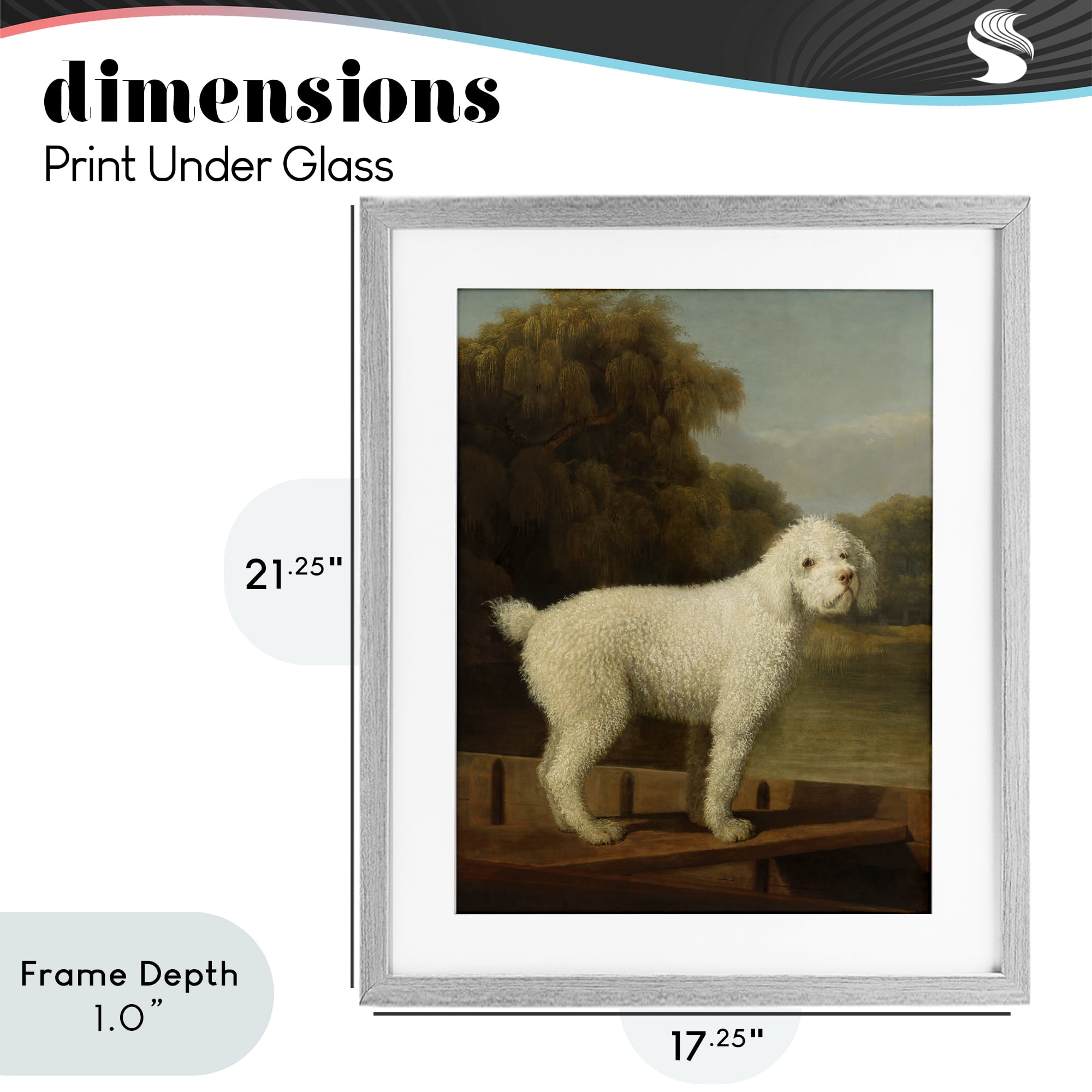 Stupell Industries White Poodle in a Punt Gray Framed Print Under Glass, design by Tina LeCour