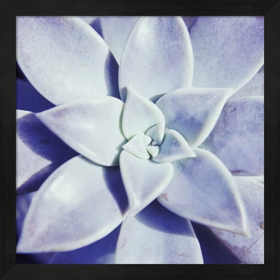 Ultra Violet I by Jason Johnson, Framed Wall Art, 13.25W x 13.25H