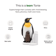 thumbnail image 4 of tonies National Geographic Kids: Penguin Audio Toy Figurine, Age Group 6+, 4 of 6