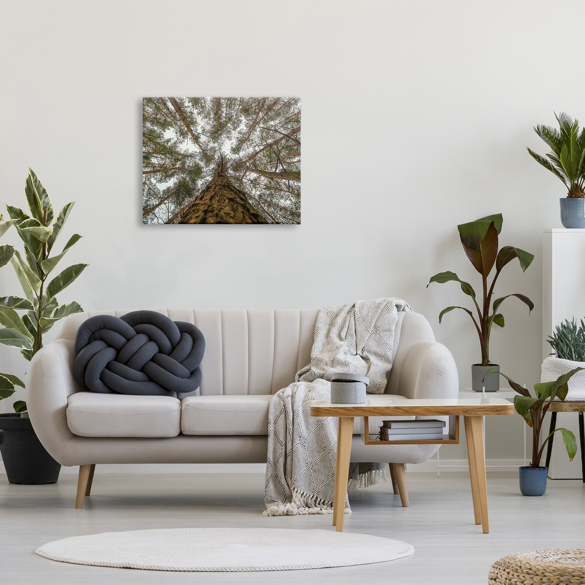 Stupell Looming Tree Branches Overhead Landscape Photography Gallery Wrapped Canvas Print Wall Art