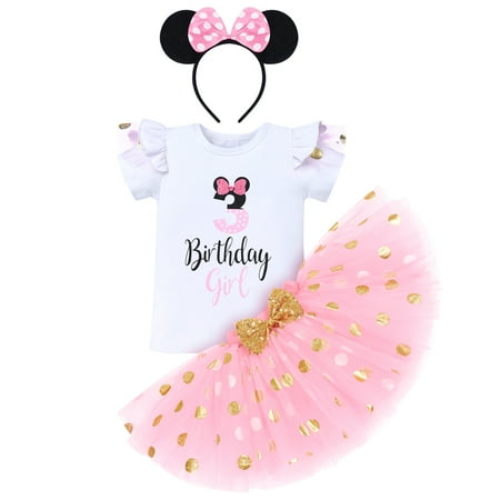 

IBTOM CASTLE Toddler Girls 1st 2nd 3rd Birthday Outfit Princess Polka Dots Ruffle Tutu Skirt Mouse Headband Cake Smash Party Clothes Set 3 Years Pink