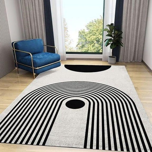 Retro Boho Abstract Distressed Area Rugs, Modern Black And White Geometric Line Art Large Bedroom Rug, With Anti-Slip Easy Clean Carpet For Living Room Bedroom Dining Room 3 x 5ft
