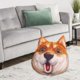 thumbnail image 5 of Cojín de almohada de felpa con estampado de perro, regalos para familiares, amigos y , duradero, tacto suave de 15x16 pulgadas, realist , Sorprendido, 38cmx30cm Soledad Arrojar la almohada, 5 of 8