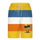 thumbnail image 5 of Pantalones Cortos Casuales para Hombre Imprimir con Bolsillos Pantalones de Playa de Cintura Elástica, Pantalones Cortos de Cintura Elástica para Hombre, 5 of 5