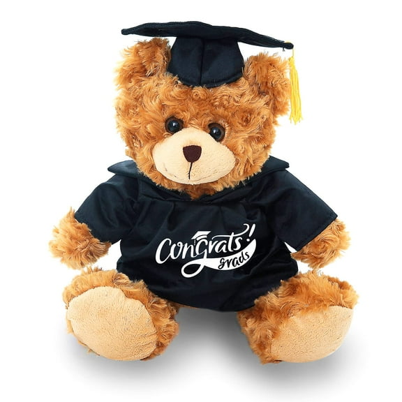 Made by Aliens Personalized Mocha Teddy Bear- Stuffed Animal Plush Toy-Perfect Gift for- Graduation Day- (Black Gown and Cap) 6 inches