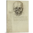 thumbnail image 1 of ARTCANVAS Studies of the Human Body - Skull Canvas Art Print by Leonardo da Vinci - Size: 26" x 18" (1.50" Deep), 1 of 9