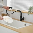 Sink Faucet, Black Kitchen Faucets with Pull out Sprayer, Bathroom Sink