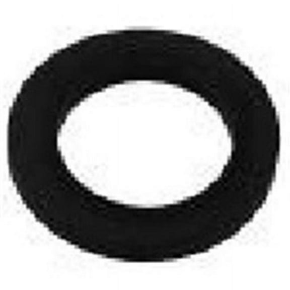 S-Seal APCO2358 0.62 in. O-Ring for Astral 00470R0319