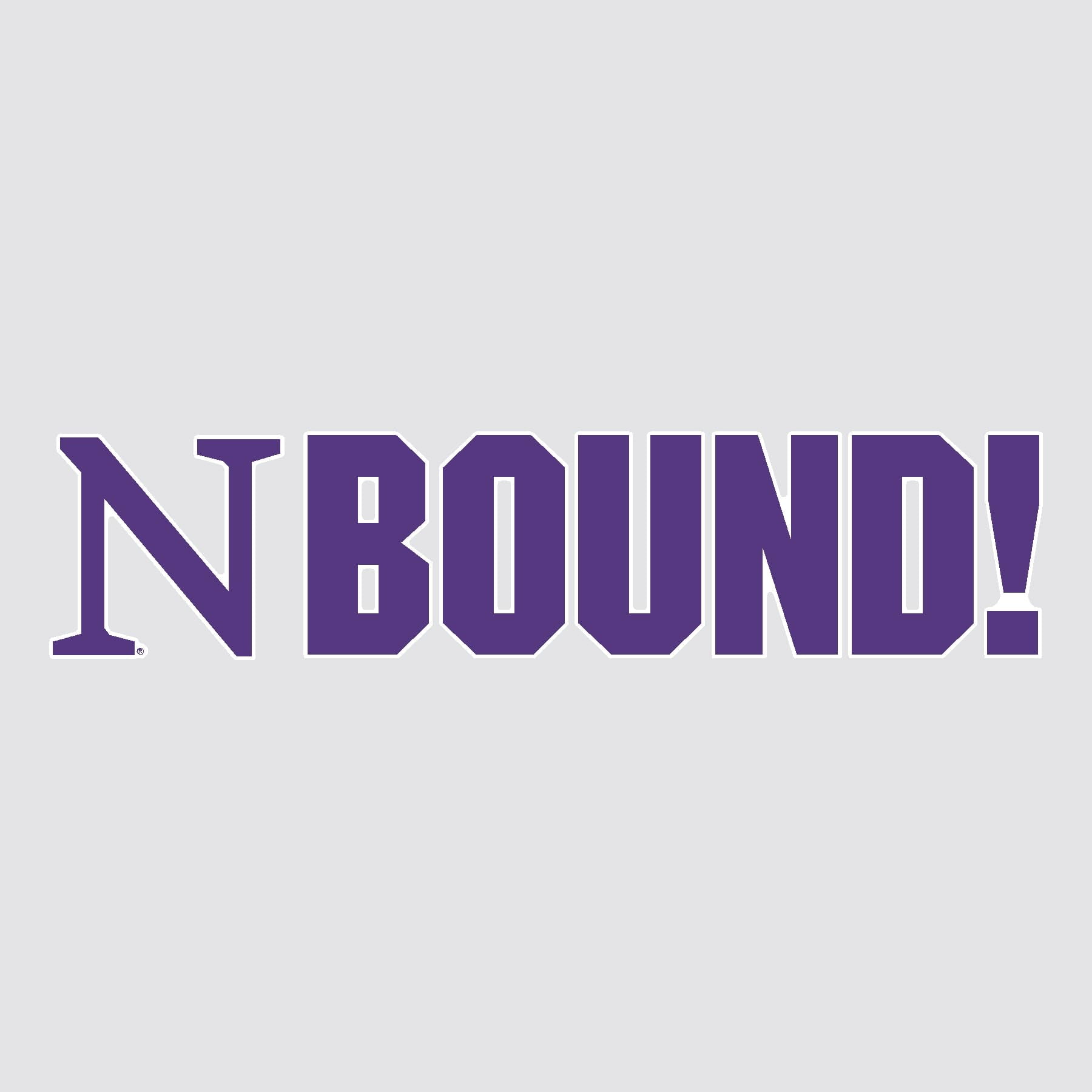 Northwestern University BOUND Mascot Yard Sign Set