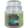 Better Homes and Gardens 13-Ounce Scented Candle, Rainy Spring Day