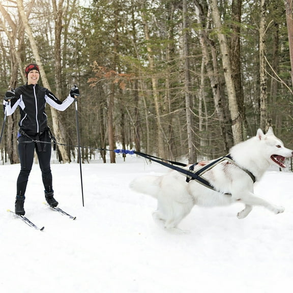 Large No Pull Dog Harness with Leash Adjustable Pet Vest for Outdoor Hiking and Training