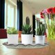 thumbnail image 2 of 1Pc Ceramic Flowerpot Tray Bonsai Base Balcony Succulent Pot Lotus Leaf Tray, 2 of 3