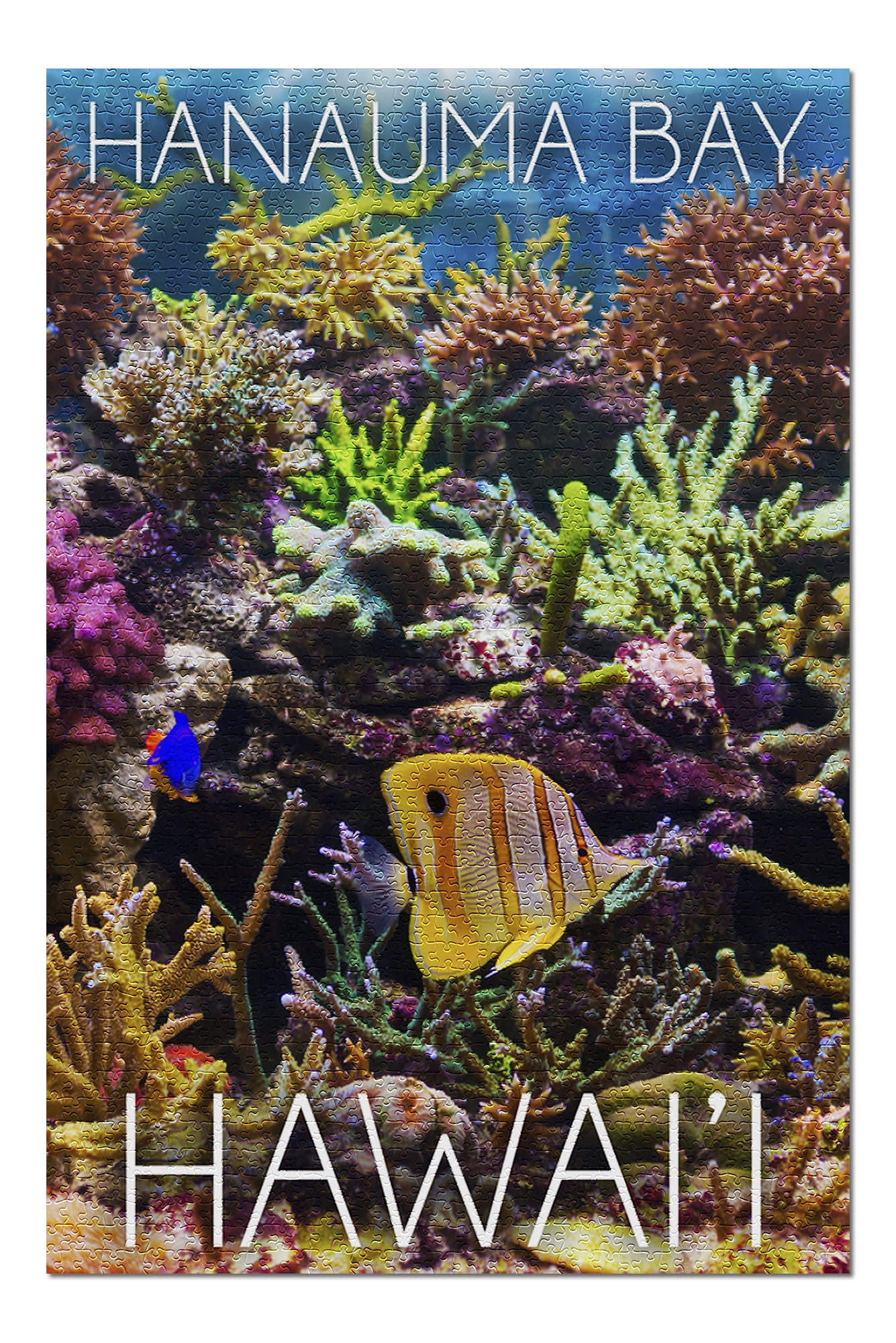 Hanauma Bay, Hawaii - Fish and Coral 2 (20x30 Premium 1000 ...