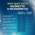 thumbnail image 6 of Nicorette Nicotine Coated Gum to Stop Smoking, 2Mg, White Ice Mint Flavor - 100 + 20 Count, 6 of 13