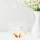 thumbnail image 1 of OULII Pecera Transparente Para Betta Con Y Limpieza Sencilla, 1 of 7