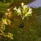 thumbnail image 3 of Lámpara De Pie De Jardín De Plástico Luces Solares De Simulación De Flores Con 42 Led Blancos Cálidos, Impermeables, Para Jardín Al Aire Libre, Decoración De Césped, Blanco, 73cm (1 Unidad) Rkxzt, 3 of 8