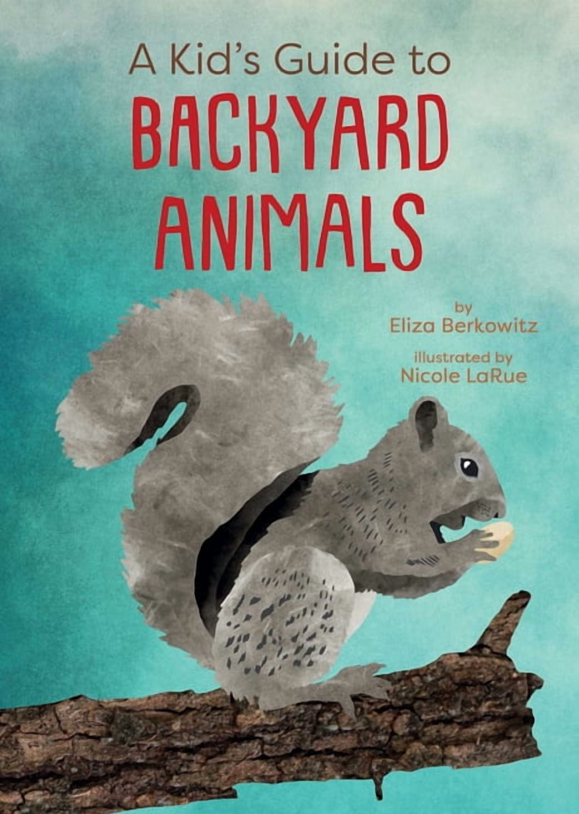 Abc: An Animal Alphabet Adventure, (Hardcover) - Walmart.com